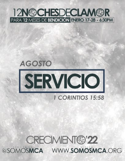 dia 8 - servicio